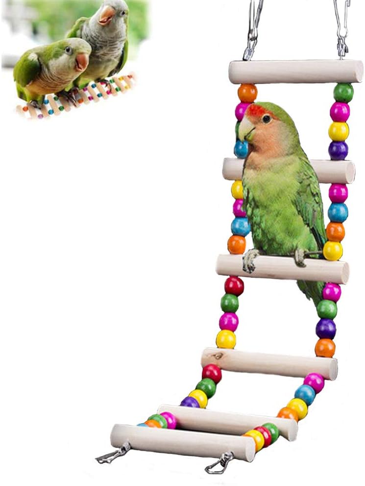 Best Cockatiel Ladder Long