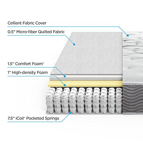 Zinus-Extra-Firm-iCoil-10-Inch-Support-Plus-Mattress-Full
