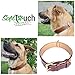 Soft Touch Collars Padded Leather Dog Collar, Large Brown, Real Genuine Leather, 24