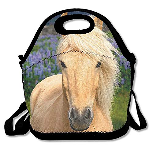 Handsome Horse Lunch Boxes Lunch Bags Handbag Food Storage Fits For School Travel Work Outdoor