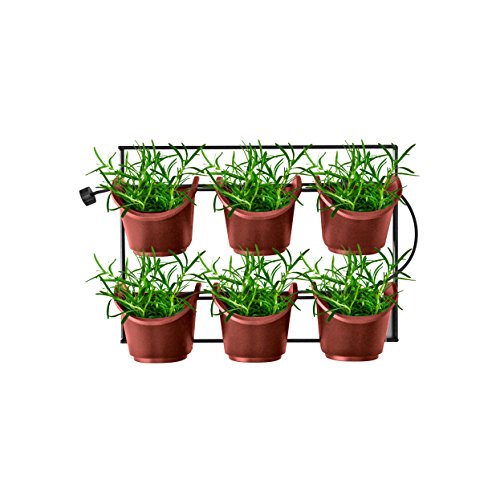 Watex WX051 Metal Green Wall Vertical Planter, Terra Cotta Veg