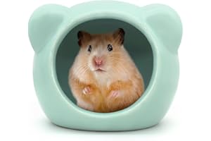 LuckyOpt Ceramic Hamster House, Cute Animal Shaped Hamster Cave, Summer Cool Small Animal Hideout Habitat Decor for Dwarf Hamsters (Green)