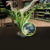 Komodo Jungle Canopy Reptile Terrarium Plant 1 Count view 2