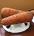KYC Plastic 12Pack- Melon Cradle-Plant & Garden Support Protector for Watermelon, Squash, Pumpkin - Holds up to 20 lbs