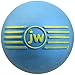JW Squeak-ee Ball Puppy Toy
