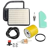 Panari 20 083 02-S Air Filter Tune Up Kit Oil Filter Spark Plug for Kohler SV470 SV471 SV480 SV530 SV540 SV541 SV590 SV591 SV600 SV601 SV610 SV620 Engine Cub Cadet Toro Lawn Mower Tractor