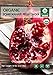 Pomegranate Peel Powder - Organic Punica Granatum, Half Pound