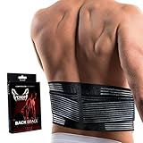 Venom Lumbar Back Brace Compression Belt - Elastic Support & Adjustable Dual Straps for Lower Back Pain, Spasm, Strain, Herniated Disc, Sciatica, Scoliosis, Disc Bulge, Lifting, Men, Women