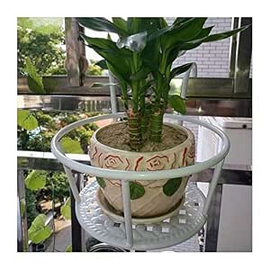 GYF Macetas Estante Metálico Soporte Plantas for Interior for ...