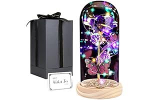 GIIFER Mom Gifts for Valentine's Day, Galaxy Rose Gifts for Women, Beauty and The Beast Rose, Rose in Glass Dome Light Up Eternal Rose for Birthday Christmas Wedding Anniversary(Purple)