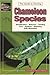 Chameleons Vol.1: Species by William K. Schmidt, K. Tamm