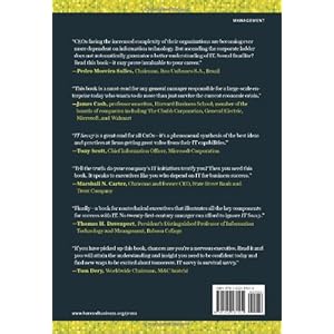 IT Savvy: What Top Executives Must Know to Go from Pain to Gain