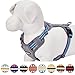 Blueberry Pet Soft & Comfy 3M Reflective Dog Harness Vest | Mesh Padded No Pull Dog Harness w/Back Clips | Multi-Colored Stripe - Violet and River Blue | Reflective Dog Harness for Medium Dogs