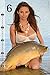 Carponizer carp fishing wall calendar 2019