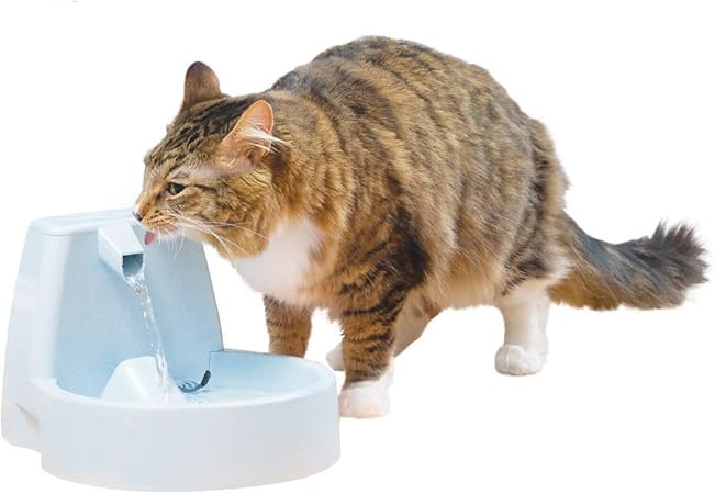 amazon cat fountain filters