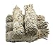 Govinda - Pack of 5 Mini White Sage Smudge Stick, 4 Inch Long