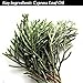 Cellulite Dissolving, Fluid Reducing Aromatherapy Dead Sea Bath Salts - 