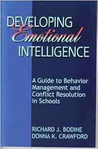Out Of Print Developing Emotional Intelligence A Guide