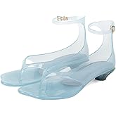 Agodor Jelly Thong Heeled Sandals for Women,Clear Flip Flop Low Kitten Heels for Women Square Open Toe Strappy Summer Casual Beach Adjustable Buckle Dress Sandals