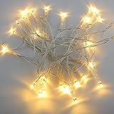 ER CHEN(TM) 3M 30 LED Battery Operated Christmas Wedding Fairy String Lights,Warm White