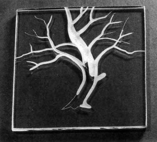 Engraving Glass: A Beginner's Guide (Dover Crafts: Glass Work) - Thumbnail 5
