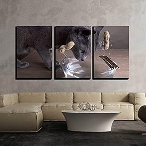 3 Piece Canvas Wall Art - Simple Things Series - Two Peanuts Going to Swim with Thirsty Cat - Modern Home Art Stretched and Framed Ready to Hang - 16"x24"x3 Panels