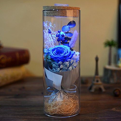 XOYOYO American Decorative Ceramic Ashtray Creative European-Style Garden Living Room Coffee Table Cigar Ashtray Study Decorative Ornaments, Deep Blue
