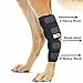 Rear Dog Leg Brace One Pair Heals Hock Joint Wrap Sleeve for Hind Legs(M/Long)