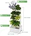 BlueSkyGrow Self Watering Planter – Vertical Garden Planter with LED Light, Water Pump, 8 Plants Herbs & Flowersthumb 3