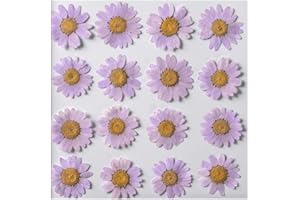 YUNZHI 50pcs Natural Dried Daisy Flower, Vacuum Packaging, Pressed Flower for House Decoration, Jewelry Making, Phone case Decoration (Light Purple)