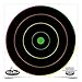 Birchwood Casey Dirty Bird Bull's-Eye Milticolor Splatter Targets Practice Shooting for Indoor and Outdoor Use, 8
