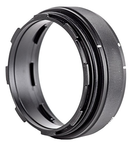 Fantasea - FML Port Extension 25