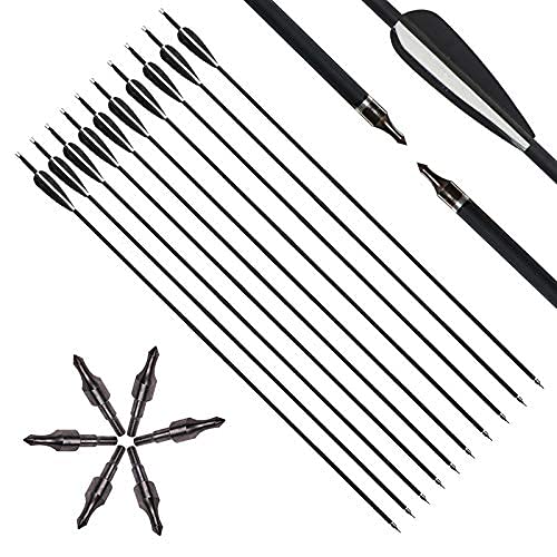 IRQ 31 Inch Carbon Arrow Quiver Set Spine 400 for Compound Recurve Long Bows Target Practice and Hunting Arrows, 12 Pack Carbon Fiber Arrow Plus 1 Quiver in Dubai - UAE | Hunting Arrows