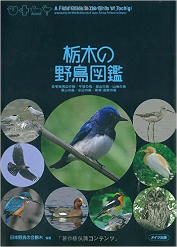 栃木の野鳥図鑑 日本野鳥の会 栃木 本 通販 Amazon 栃木の野鳥図鑑 日本野鳥の会 栃木 本 通販 Amazon