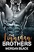 Misconception (New Adult Romance) (Finnegan Brothers Book 1)