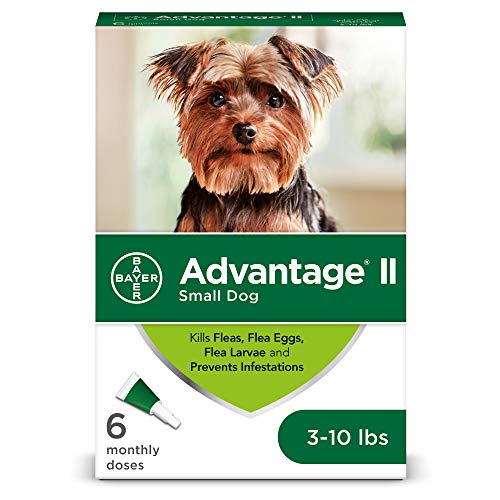 Bayer Advantage II Flea and Lice Treatment for Small Dogs, 3-10 lb, 6 doses