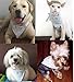 Embroidered Cute Dog Pet Cat Birthday Bandana for Cats Dogs, 100% Cotton, Blue
