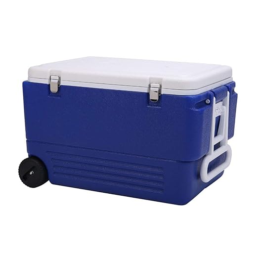 LIYANLCX Nevera portátil Nevera/congelador portátil Vehículo ...