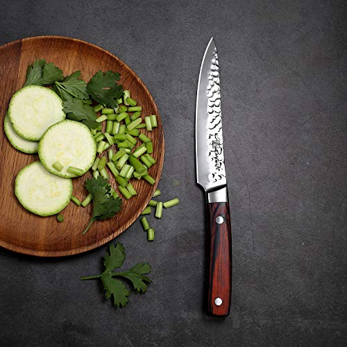 Utility Knife 5 Inch, PAUDIN Pro Kitchen Knife High Carbon German Stainless Steel 7Cr17Mov Hammered Pattern, Sharp Knife with Ergonomic Pakka Wood Handle with Gifted Box