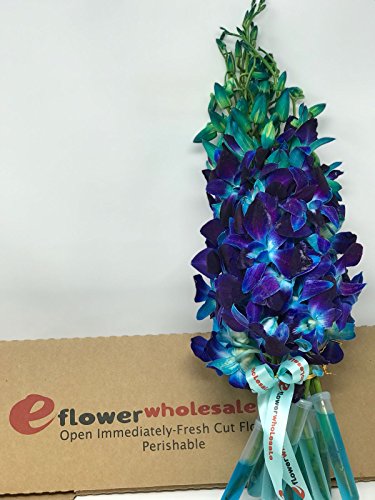 5 eflowerwholesale+Premium+Orchids+Orchid+Rhinestone