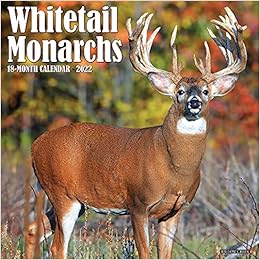 Whitetail Monarch Deer 2022 Wall Calendar: Willow Creek Press: 9781549220128: Amazon.com: Books