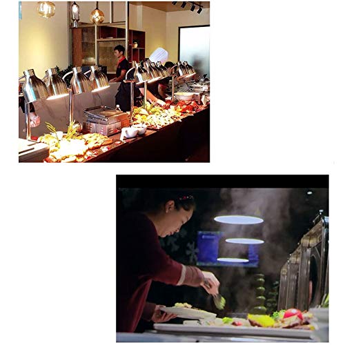 ZXT Food Warming lamp Single/Double Bulbs Buffet Display Heating Preservation Light,Commercial Portable W250 Heat Lamp (Color : Silver, Size : Single Head) - Thumbnail 2