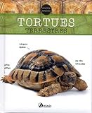 Tortues terrestres by