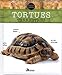 Tortues terrestres by