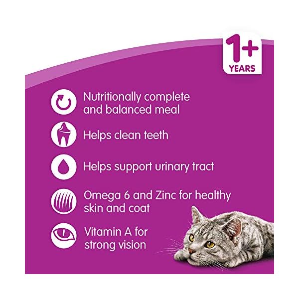 Whiskas-1-Dry-Cat-Food-for-Adult-cats-with-Chicken-1-bag-1-x-7-kg Whiskas 1+ Chicken 7kg Bag, Adult Cat Dry Food - Pack may vary