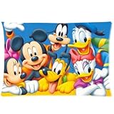 Mickey Mouse,Disneyland Pattern Custom Pillow Case Cushion Cover 20 x 30 Inch (Twin sides)