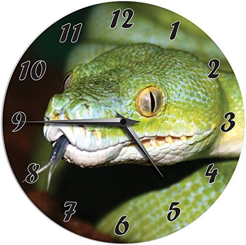 imagise Designer Wall Clock - Snake Design