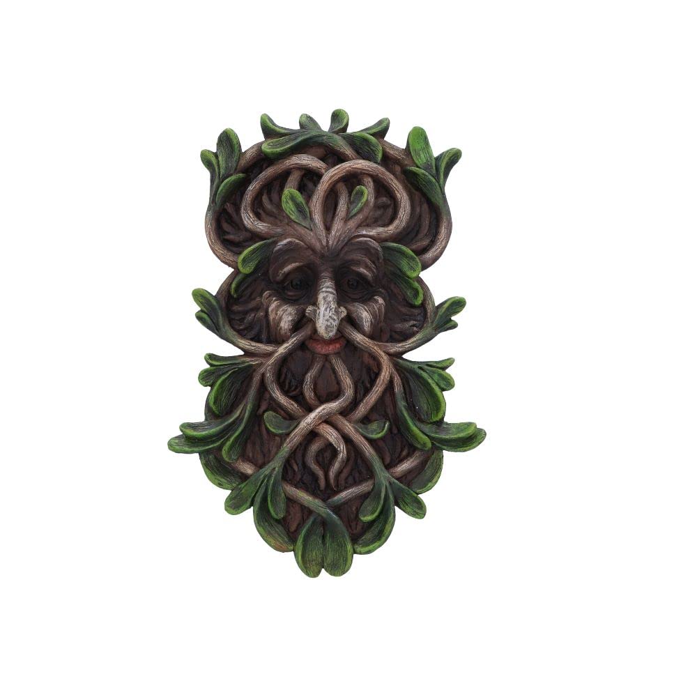 Nemesis Now Tawnya Tree Spirit Wall Plaque, Brown, 28.8cm (D5936V2)