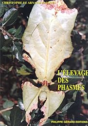 L' élevage des phasmes