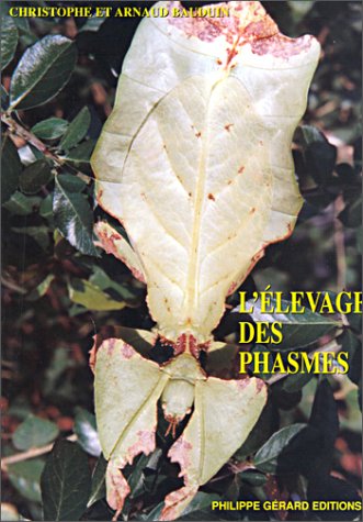 L' élevage des phasmes